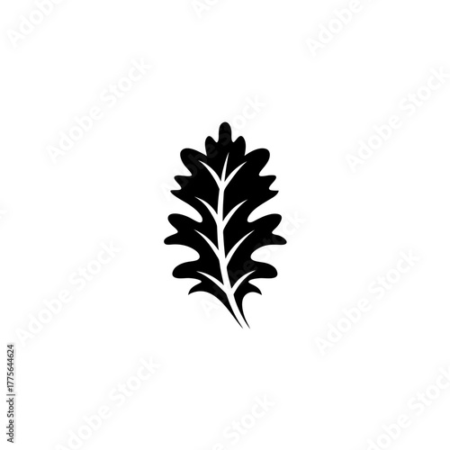 Illustration of a detailed black leaf on white page on transparent background silhouette