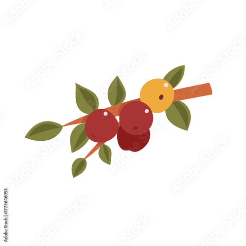 Wallpaper Mural Vector hand-drawn of an apple branch. Sketch of natural element. Torontodigital.ca