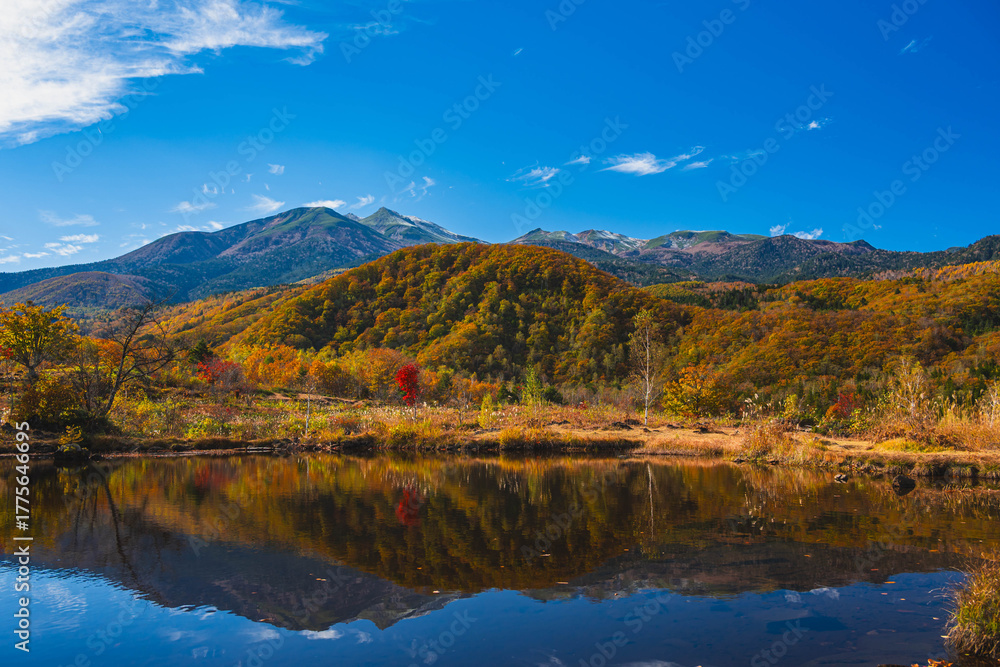 Obraz premium まいめの池 乗鞍高原