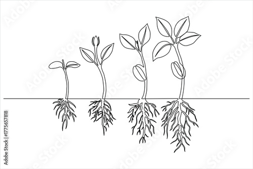 Botany and agricultural development are shown in a modern single-line drawing