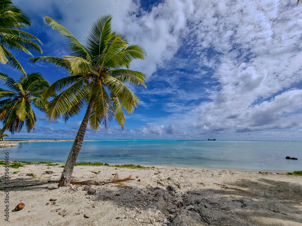 Fototapeta premium Beautiful Beach in Aitutaki