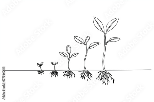 Minimalist artistic illustration of the growth and development of a seedling