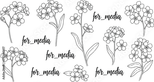 Hand drawn forget me not flower illustration, botanical floral line art, wildflower bouquet outline, minimalist nature clipart, tattoo design, vector