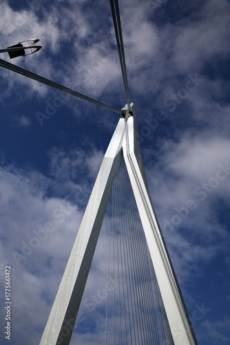 The Erasmusbrug spanning th...