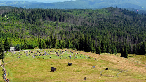 Rusinowa Polana, one of the most scenic clearings in the Polish Tatra Mountains, Poland. Tourists resting in the meadow, crowds in the mountains. View from the trail to the summit of Gesia Szyja