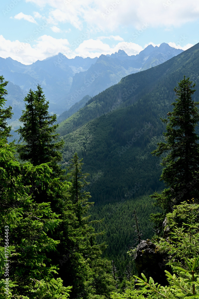 Fototapeta premium Gesia Szyja. Tatra Mountains National Park seen from Gesia Szyja peak. Beautiful panorama landscape from Gesia Szyja. Zakopane, Poland