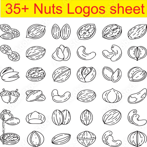 35+ Nuts Sheet