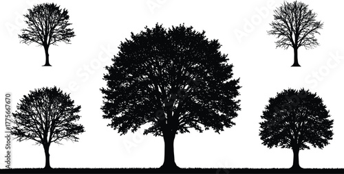 Beautiful collection of tree silhouettes on white background, natural forest illustration, eco friendly landscape design, nature growth vector art