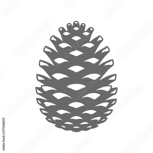 Hand-drawn Pine Cone Illustration
