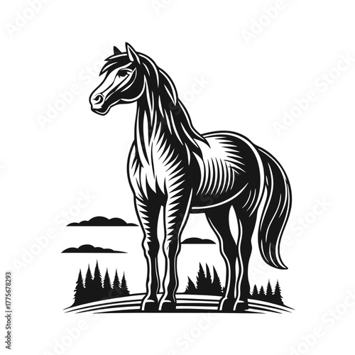 Bold black horse prances gracefully, showcasing its powerful build and elegant mane on white