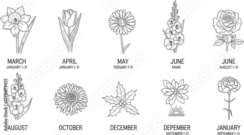 Monthly birth flowers illustration, minimal line art floral collection, botanical vector design for calendar months, nature inspired elegant flower drawing