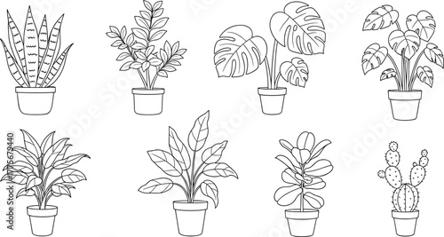 Houseplant illustration collection in pots, minimal line art indoor plants, botanical vector drawing, modern home decor greenery clipart design