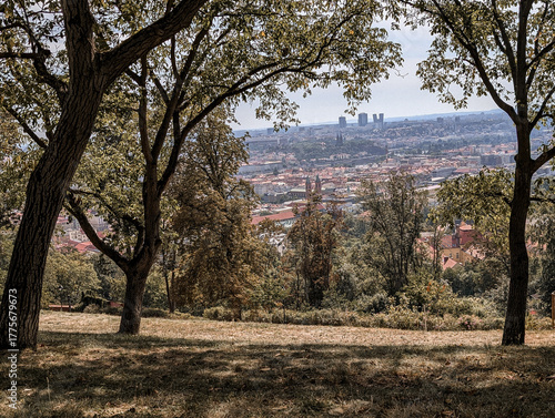 Prague City Panorama Framed by Green Trees View from Petrin Hill