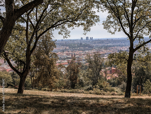 Prague City Panorama Framed by Green Trees View from Petrin Hill