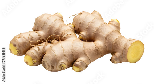 Fresh ginger root isolated on transparent background