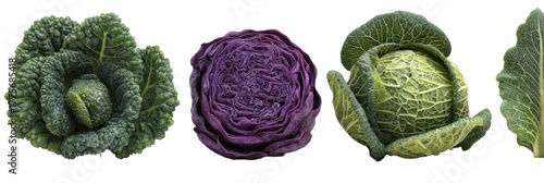 Close-up of three types of cabbages