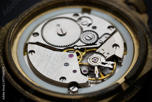 The mechanism of a mechanical wristwatch