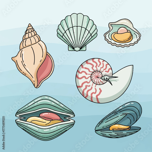 Sea Shells Extravaganza A Collection of Marine Mollusks and Aquatic Treasures