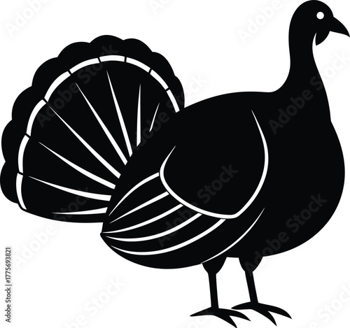 Silhouette of a Wild Turkey Strutting with Tail Feathers Displayed