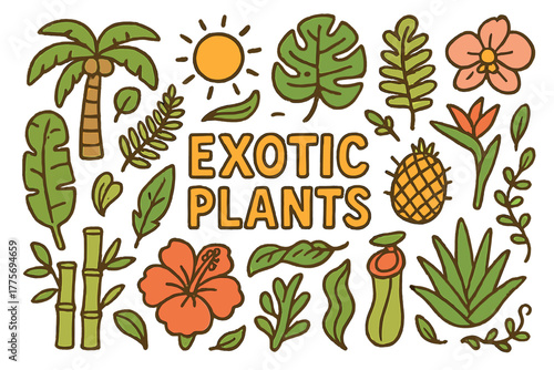 Vibrant Exotic Foliage. Exotic Plants. Hand-drawn doodle illustration of exotic plants. Palm tree, monstera