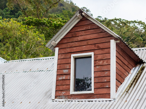 Rustic wooden cabin with a small window in a lush green forest setting