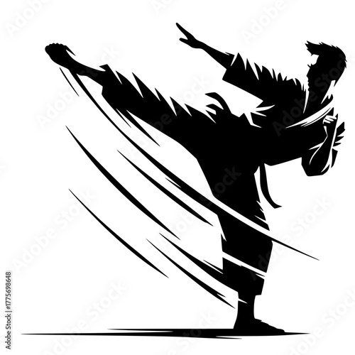 Silhouette of karate moves