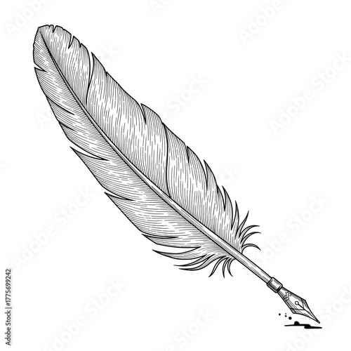 Feather pen with ink isolated on transparent background