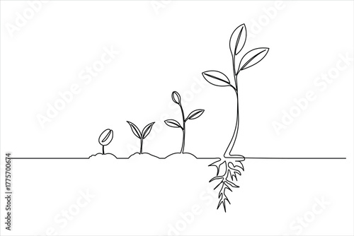 Minimalist illustration of the seedling growth process with an exposed root system