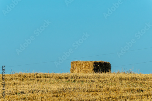 Harvested golden field under blue sky symbolizing the natural colors of Ukraine. Silent field under endless blue sky a metaphor for resilience transition and the enduring beauty of Ukraine.