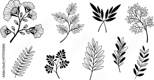 Charming tribal folk art silhouettes with botanical elements for creative designs
