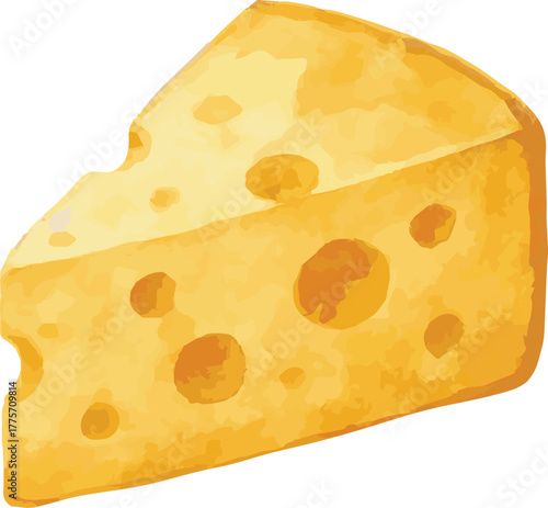 Vector watercolor painted illustration of cheese