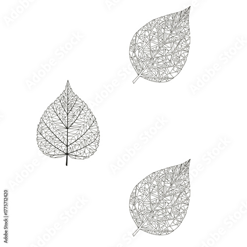Abstract leaves with geometric patterns make a modern statement, perfect for botanical designs, artistic projects, and clean, minimalist style decorations