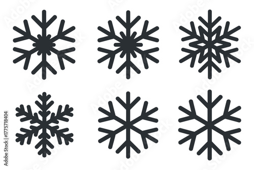 A collection of six distinct snowflake icons arranged in two rows on a white background.
