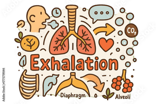 Breath of Life. Exhalation. Hand-drawn doodle illustration of exhalation. Lungs, diaphragm, trachea, bronchi,