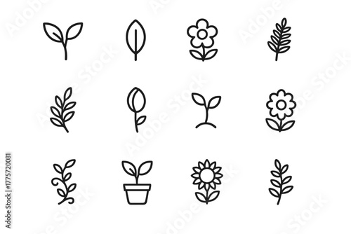 Botanical Icons Grid. Botanical design. Line outline icon set of botanical design: plant, leaf, flower, fern,