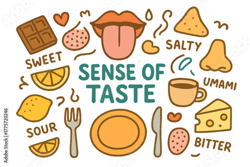 Taste Sensations Doodle. Sense of Taste. Hand-drawn doodle illustration of sense of taste. Tongue, taste buds,