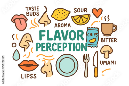 Flavor Perception Doodle. Flavor Perception. Hand-drawn doodle illustration of flavor perception. Tongue,
