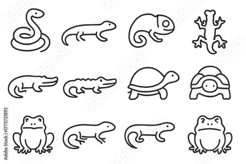 Reptile Icon Set. Reptile diversity. Line outline icon set of reptile diversity: snake, lizard, chameleon,