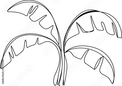 Simple outline drawing of a banana tree with large leaves