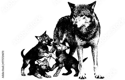 Wolf with puppies, retro xerography halftone engraving black and white vintage wildlife photo art isolated on transparent background