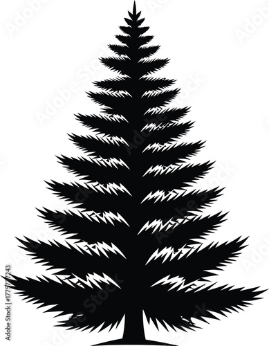 An isolated vector silhouette of a green Christmas pine tree branch for your holiday decoration and winter celebration illustration
