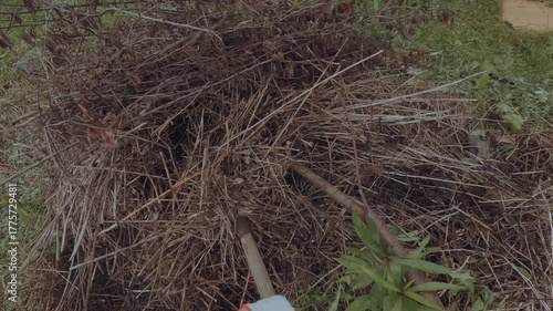 A man burns grass in an iron barrel, burning grass in a barrel, burning grass in a cottage