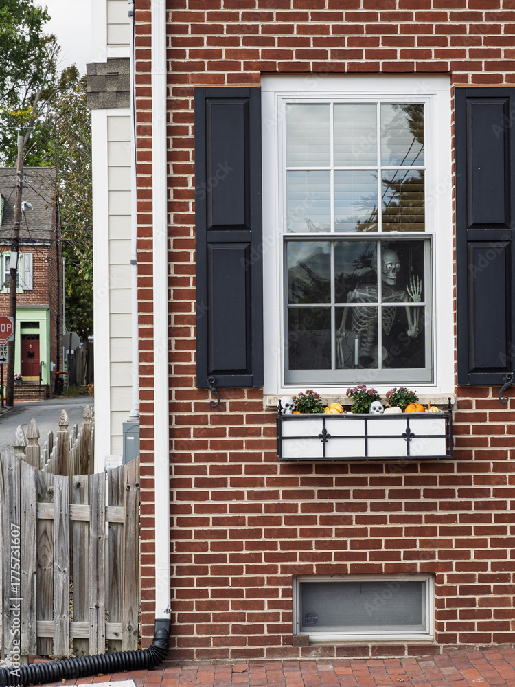 Fototapeta premium Skeleton Halloween decoration in house window New Castle Delaware