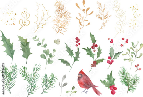  Christmas watercolor and golden set. Hand Painted Watercolor Pine branches, Holly, Mistletoe, Winter Greenery Illustrations. Vector EPS.