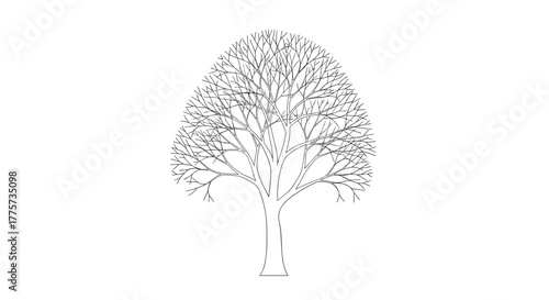Minimalistic outline illustration of a bare tree, featuring a intricate network of branches without leaves, ideal for autumn or winter themes.