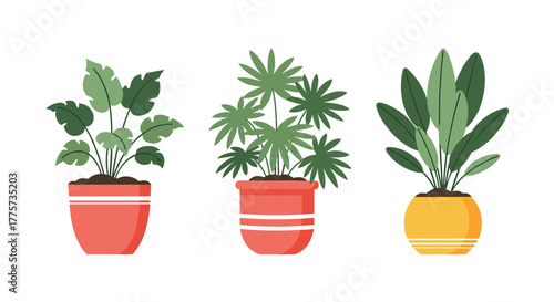 Vibrant trio of diverse potted houseplants, showcasing rich green foliage in stylish colorful pots, perfect for interior decor inspiration.