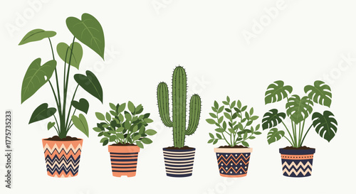 Beautiful collection of five potted houseplants, showcasing a cactus alongside leafy greens in various patterned pots, ideal for natural home decor.