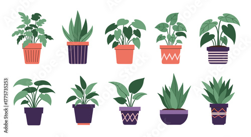 Comprehensive collection of 10 diverse potted houseplants, showcasing various leafy greens in patterned pots, perfect for enhancing home interiors.