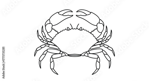 Clear outline illustration of a crab, emphasizing its claws and shell, ideal for marine biology education or seafood restaurant branding.