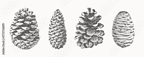 Pine cones set. Christmas stippling photocopy illustration
